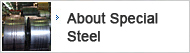 About Special Steel